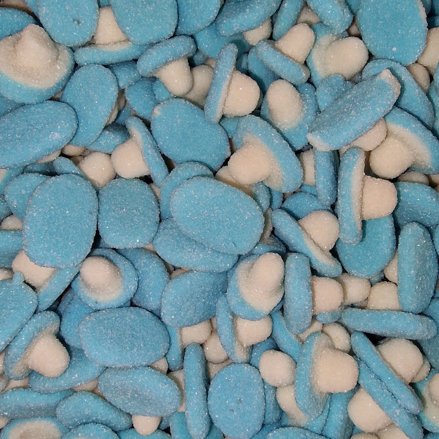 Pilze Blau
